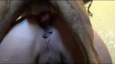 Порно видео Подборка оканчаний с животными- Смотреть , скачать на телефон 