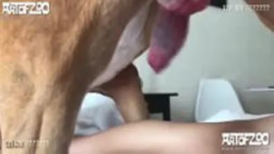 Порно видео Подборка секса с собаками- Смотреть , скачать на телефон [18:24x360p]-> 